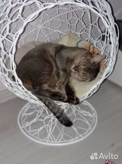 Лежанка для кошек