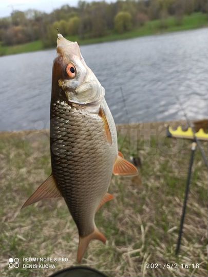 Дом 322 м² на участке 22 сот.