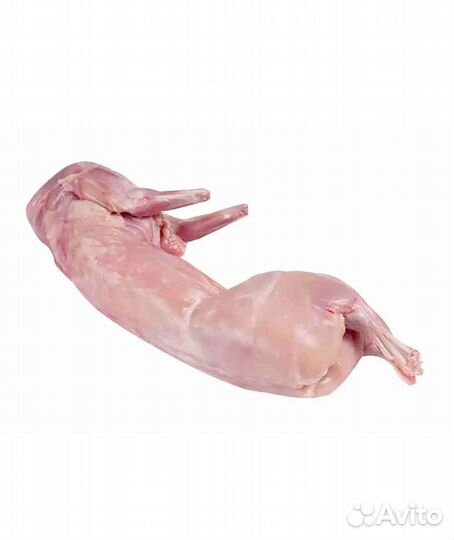 Мясо кролика