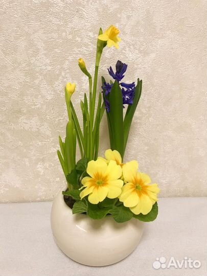 Композиция из первоцветов к 8 марта