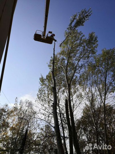 Аренда и услуги коленчатой автовышки, 300 кг, 22 м