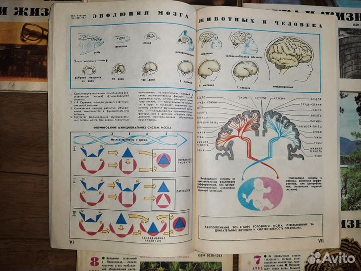 15 номеров журнала Наука и Жизнь, цена за все