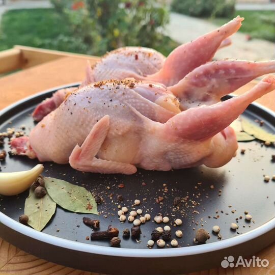 Охлажденное перепелиное мясо