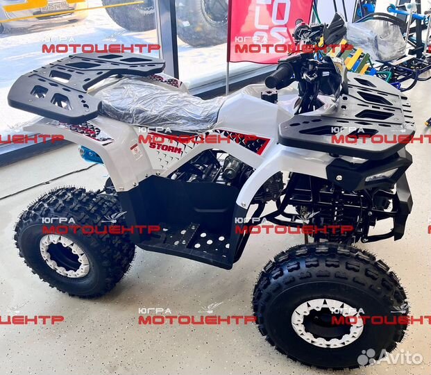 Квадроцикл Motoland 125 Storm (серый)