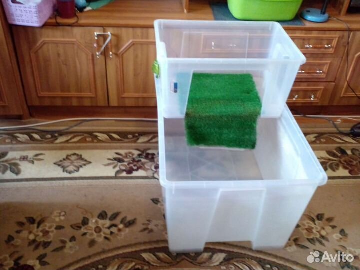 Террариум для красноухой черепахи