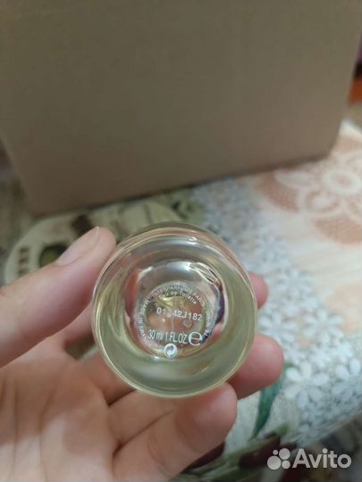 Lanvin a girl IN capri