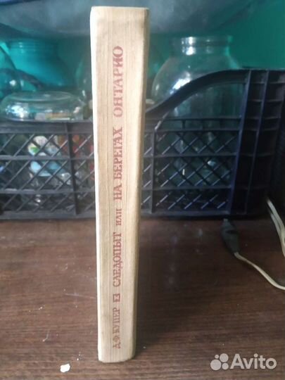 Следопыт или на берегах Онтарио Джеймс Купер