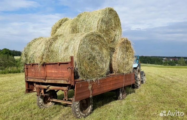 Сено в рулонах