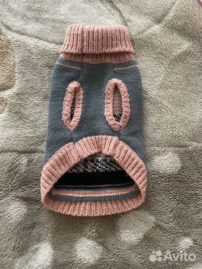 Одежда для маленьких собак