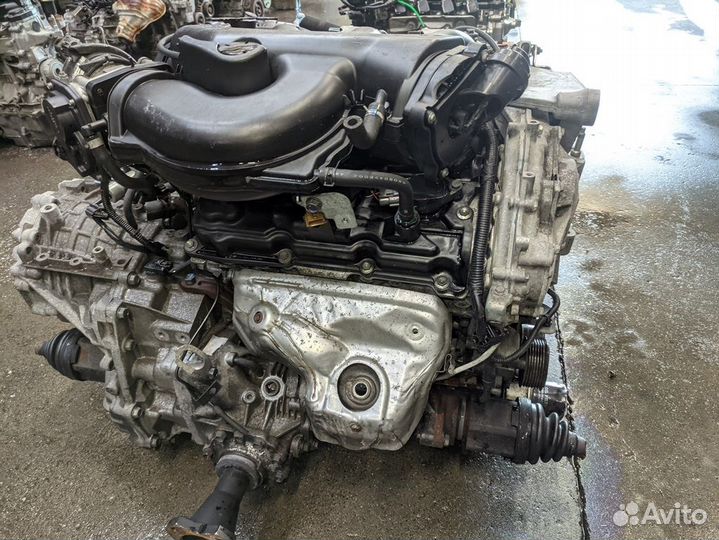 Двигатель nissan elgrand VQ35DE PNE52