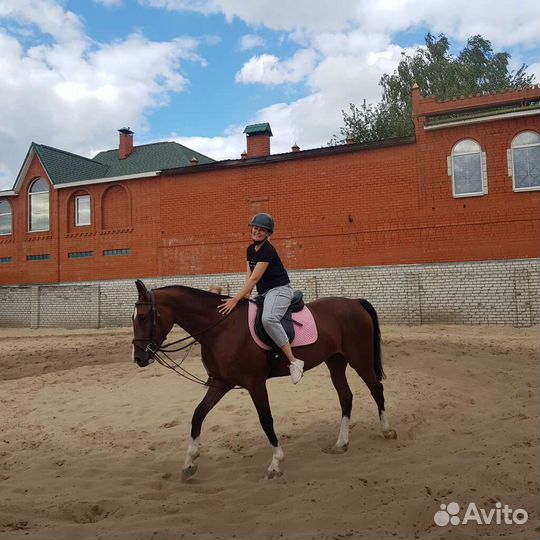 Конные прогулки