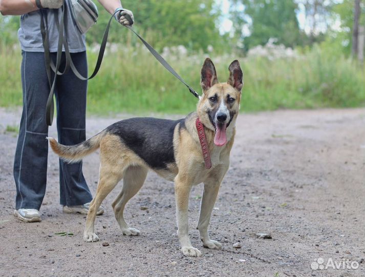 Дана ищет дом