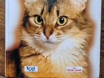 Энциклопедия кошки книга 496 страниц