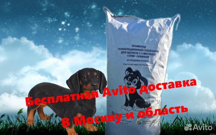 Сухой корм супер-премиум класса для собак/щенков