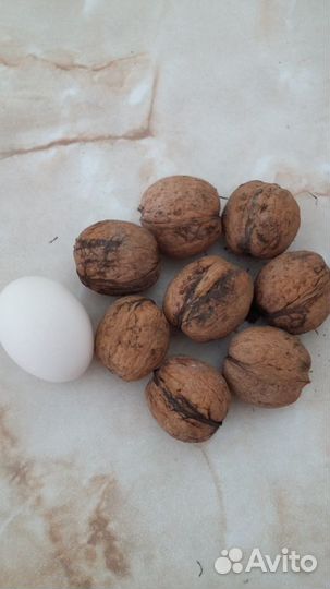 Грецкий орех