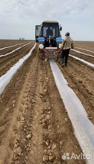 Подсобный рабочий,поля,бахча,работа