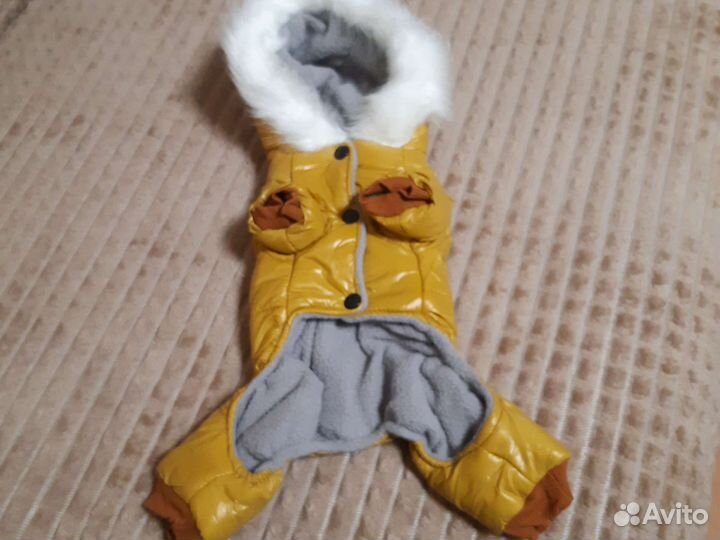 Зимний костюм для для собаки