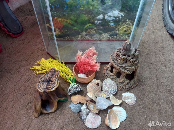 Аквариум