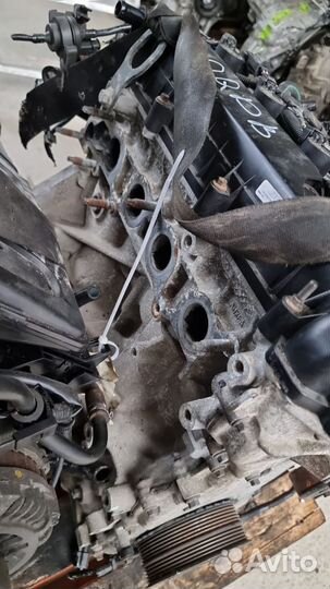 Двигатель qqdb 1,8 л 125 л/с Ford Focus 2