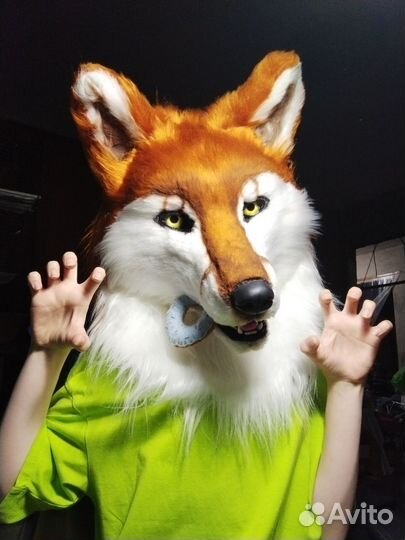 Фурсьют лисы
