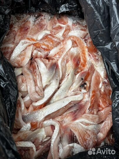 Брюшки Семги