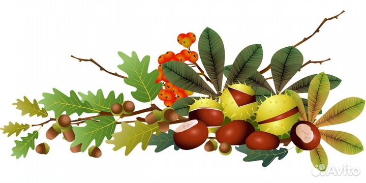 Макеты/Шаблоны для печати на футболках и кружках