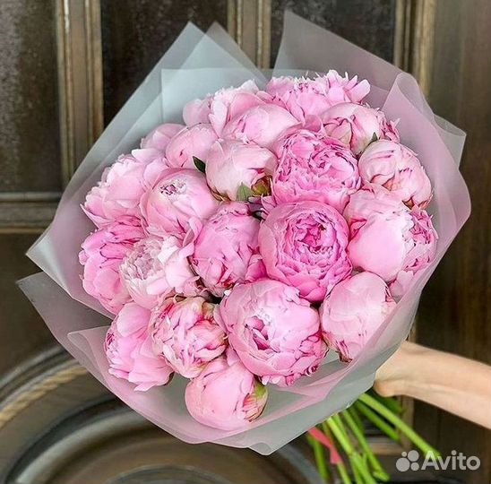 Пионы Букет пионов