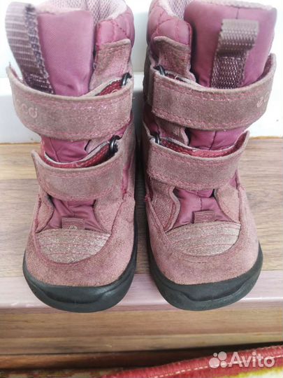 Демисезонные сапоги ecco 22