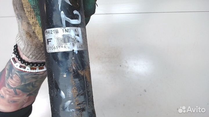 Амортизатор подвески Infiniti G, 2010