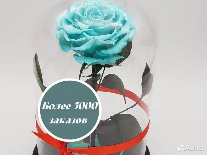 Роза в колбе. От производителя