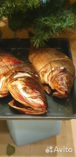 Рыба горячего копчения