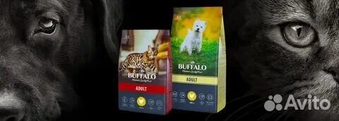 Корма для кошек и собак Фармина и другие корма
