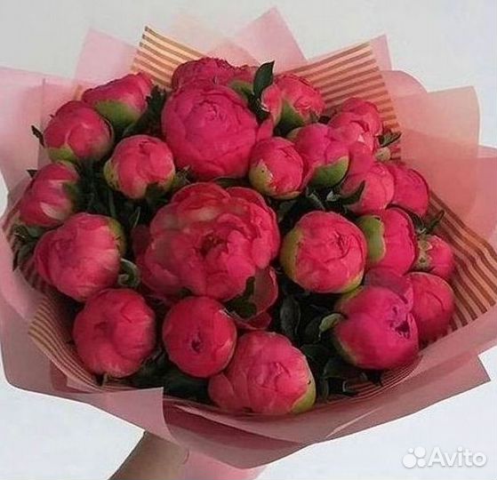 Пионы Букет пионов