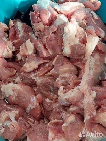 Мясо свинина