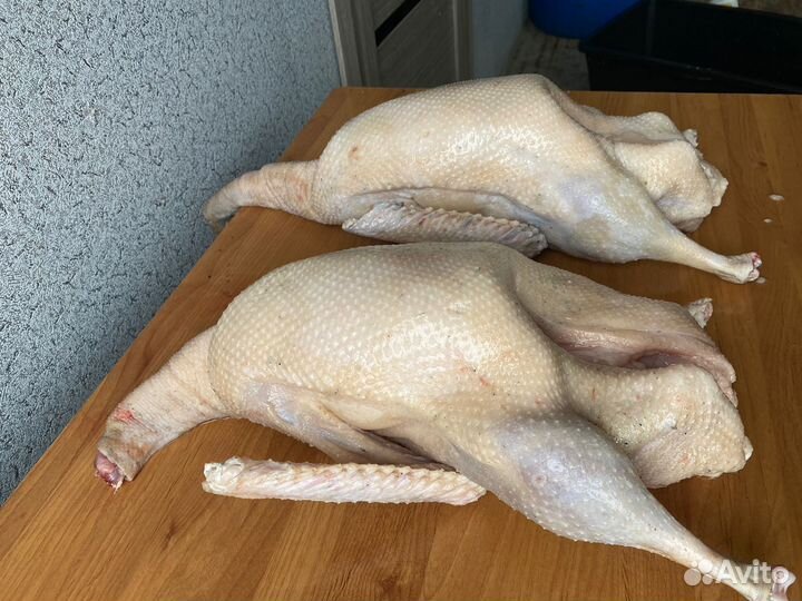 Мясо гуся