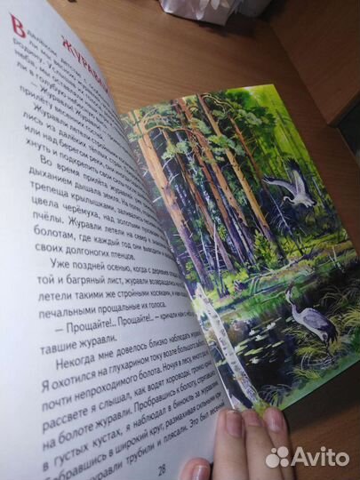 Книга про животных