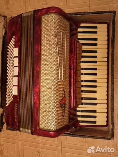 Аккордеон