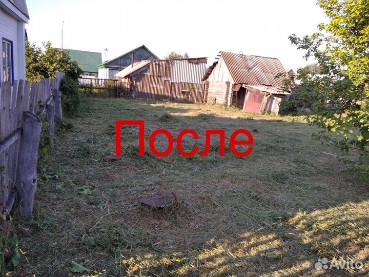 Услуга покоса травы