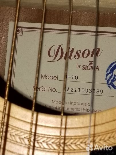 Акустическая гитара Ditson D-10