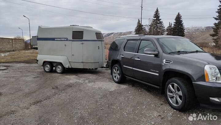 Перевозка лошадей