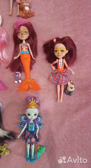 Куклы Enchantimals, Barbie, Winx, кен, фея