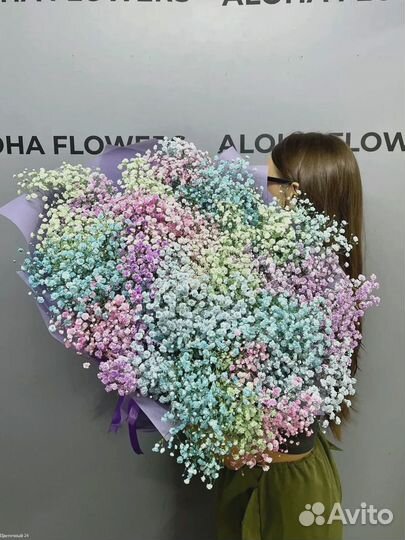 Гипсофилы цветы