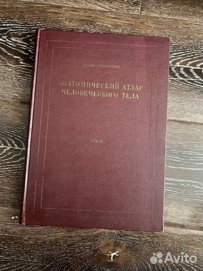 Анатомия Атлас Кишш- Сентаготаи