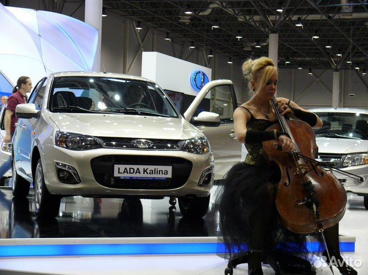 Музыкант Артист Выступление Виолончель