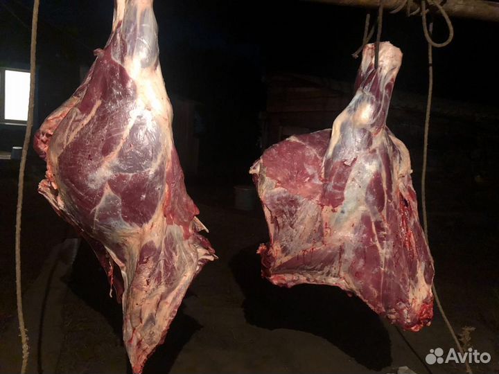 Мясо домашнее говядина