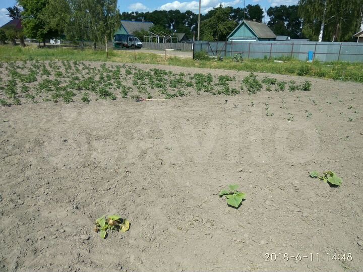 Участок 38 сот. (ИЖС)