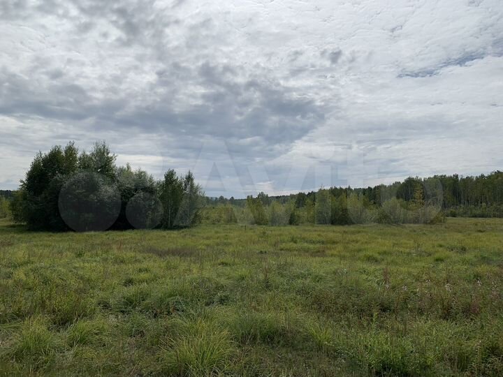 Участок 8 сот. (ИЖС)