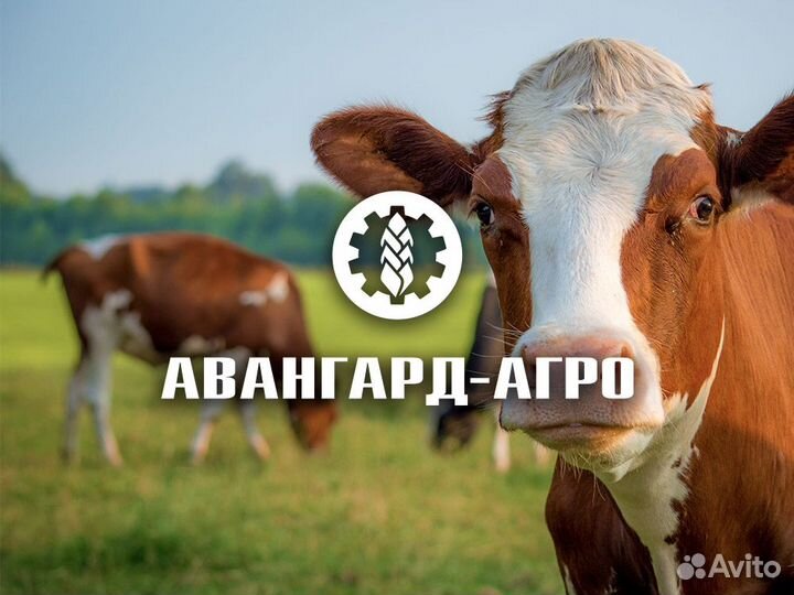 Зоотехник крс