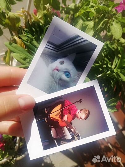 Фото mini polaroid