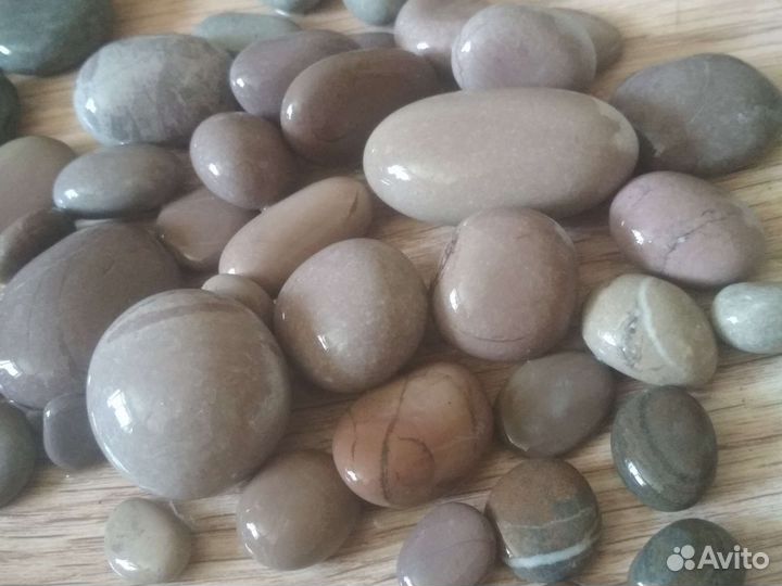 Морские камни и ракушки